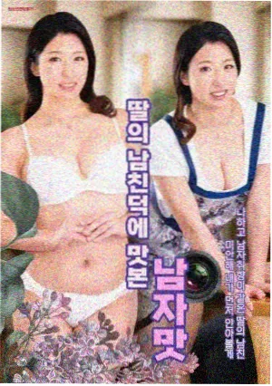 秘密森林